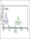 Aryl Hydrocarbon Receptor antibody, 61-965, ProSci, Flow Cytometry image 