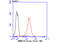 Transmembrane Protein 173 antibody, A01871-2, Boster Biological Technology, Flow Cytometry image 