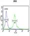 DLG Associated Protein 5 antibody, LS-C167434, Lifespan Biosciences, Flow Cytometry image 