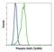 Signal Transducer And Activator Of Transcription 5A antibody, MA5-14822, Invitrogen Antibodies, Flow Cytometry image 