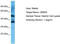 Olfactory Receptor Family 8 Subfamily D Member 4 antibody, TA332293, Origene, Western Blot image 