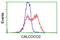 CALCOCO2 antibody, TA501990, Origene, Flow Cytometry image 