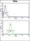 Checkpoint Kinase 2 antibody, orb235095, Biorbyt, Flow Cytometry image 