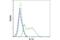 Interleukin 1 Alpha antibody, 53957S, Cell Signaling Technology, Flow Cytometry image 