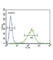 Gamma-Aminobutyric Acid Type A Receptor Alpha2 Subunit antibody, abx034313, Abbexa, Western Blot image 