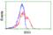 Nuclear Factor Kappa B Subunit 1 antibody, orb256719, Biorbyt, Flow Cytometry image 