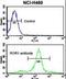 Receptor Tyrosine Kinase Like Orphan Receptor 1 antibody, LS-C99123, Lifespan Biosciences, Flow Cytometry image 