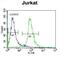 Round Spermatid Basic Protein 1 antibody, abx026310, Abbexa, Flow Cytometry image 