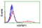 HSPA (Hsp70) Binding Protein 1 antibody, LS-C173303, Lifespan Biosciences, Flow Cytometry image 