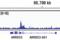 HIF1-alpha antibody, 36169T, Cell Signaling Technology, Chromatin Immunoprecipitation image 