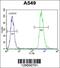 Cilia And Flagella Associated Protein 44 antibody, 55-931, ProSci, Flow Cytometry image 