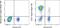 CD27 Molecule antibody, 78-0279-41, Invitrogen Antibodies, Flow Cytometry image 