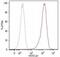 Endoglin antibody, GTX79978, GeneTex, Flow Cytometry image 