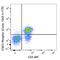 STAT3 Phospho (Tyr705) antibody, 651020, BioLegend, Flow Cytometry image 