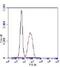 Egl-9 Family Hypoxia Inducible Factor 1 antibody, NB100-137, Novus Biologicals, Flow Cytometry image 