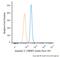 Annexin A5 antibody, NBP2-52414, Novus Biologicals, Flow Cytometry image 