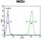 Peroxisomal Biogenesis Factor 2 antibody, GTX80512, GeneTex, Flow Cytometry image 