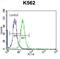 Follicle Stimulating Hormone Subunit Beta antibody, abx027177, Abbexa, Flow Cytometry image 