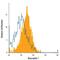 Neuropilin 1 antibody, FAB5994N, R&D Systems, Flow Cytometry image 