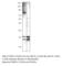 Galectin 3 antibody, CBP35-112AP, FabGennix, Western Blot image 