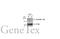 Sequestosome 1 antibody, GTX629888, GeneTex, Western Blot image 