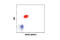 Zinc Finger And BTB Domain Containing 7B antibody, 13205S, Cell Signaling Technology, Flow Cytometry image 