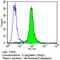 Erb-B2 Receptor Tyrosine Kinase 4 antibody, MA5-12888, Invitrogen Antibodies, Flow Cytometry image 