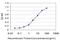 SRSF Protein Kinase 1 antibody, H00006732-M03, Novus Biologicals, Enzyme Linked Immunosorbent Assay image 