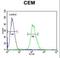 Tankyrase 2 antibody, LS-C160089, Lifespan Biosciences, Flow Cytometry image 