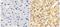 Apolipoprotein A1 antibody, GTX15659, GeneTex, Immunohistochemistry paraffin image 
