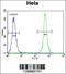 TSPY Like 6 antibody, 55-764, ProSci, Immunohistochemistry paraffin image 