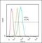 STAT3 antibody, orb106147, Biorbyt, Flow Cytometry image 