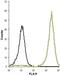 Potassium Calcium-Activated Channel Subfamily M Alpha 1 antibody, GTX16725, GeneTex, Flow Cytometry image 