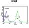 FANCD2 And FANCI Associated Nuclease 1 antibody, abx032455, Abbexa, Flow Cytometry image 