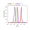 p65 antibody, 51-0500, Invitrogen Antibodies, Flow Cytometry image 