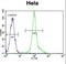 LCK Proto-Oncogene, Src Family Tyrosine Kinase antibody, LS-C165716, Lifespan Biosciences, Flow Cytometry image 