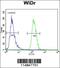 Asparaginyl-TRNA Synthetase antibody, 55-618, ProSci, Immunofluorescence image 