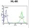 Beta-1,4-Galactosyltransferase 1 antibody, LS-C156716, Lifespan Biosciences, Flow Cytometry image 