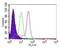 Caspase 8 antibody, NB100-56527, Novus Biologicals, Flow Cytometry image 