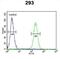 Roundabout Guidance Receptor 4 antibody, abx032411, Abbexa, Flow Cytometry image 