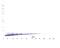 Artemin antibody, 38-107, ProSci, Western Blot image 