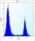 Angiopoietin-related protein 7 antibody, abx026933, Abbexa, Western Blot image 