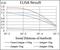 Calcium/Calmodulin Dependent Protein Kinase II Gamma antibody, NBP2-37262, Novus Biologicals, Enzyme Linked Immunosorbent Assay image 