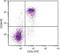 Thy-1 Cell Surface Antigen antibody, NBP1-28034, Novus Biologicals, Flow Cytometry image 