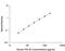 TGF beta antibody, DB100B, R&D Systems, Enzyme Linked Immunosorbent Assay image 