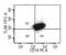 Toll Like Receptor 8 antibody, DDX0480P-100, Novus Biologicals, Flow Cytometry image 