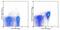 CD28 antibody, 45-0281-80, Invitrogen Antibodies, Flow Cytometry image 