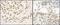 FUS RNA Binding Protein antibody, NB100-562, Novus Biologicals, Immunohistochemistry frozen image 