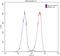 Survival Of Motor Neuron 2, Centromeric antibody, 60154-1-Ig, Proteintech Group, Flow Cytometry image 