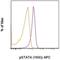 Signal Transducer And Activator Of Transcription 4 antibody, 17-9044-41, Invitrogen Antibodies, Flow Cytometry image 